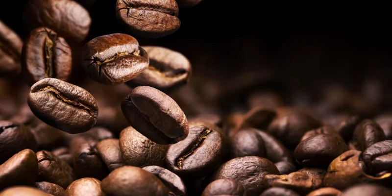 Kahve Çekirdekleri Hakkında Bilmeniz Gereken Her Şey