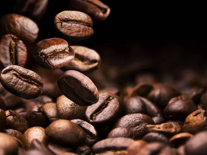 Kahve Çekirdekleri Hakkında Bilmeniz Gereken Her Şey